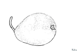 pear Printable Coloring Nplooj Ntawv